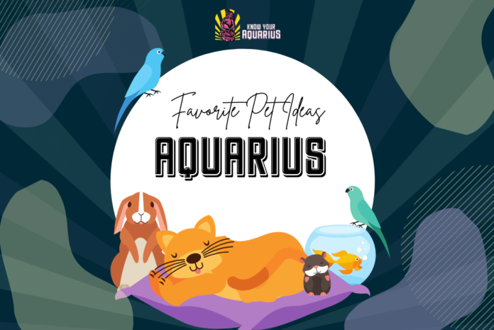 Which Pet Should Aquarius Buy?